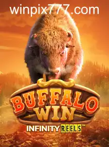 BuffaloWin